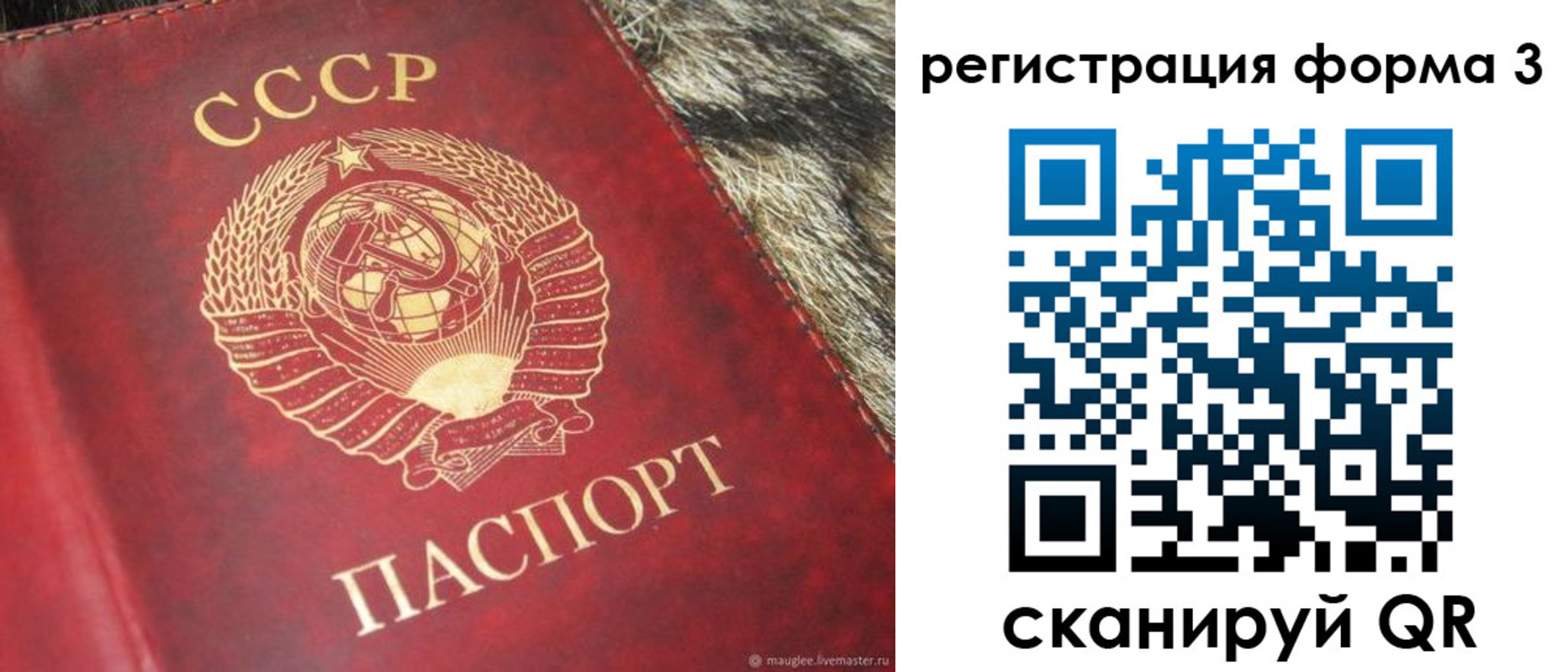 прописка регистрация в Курске